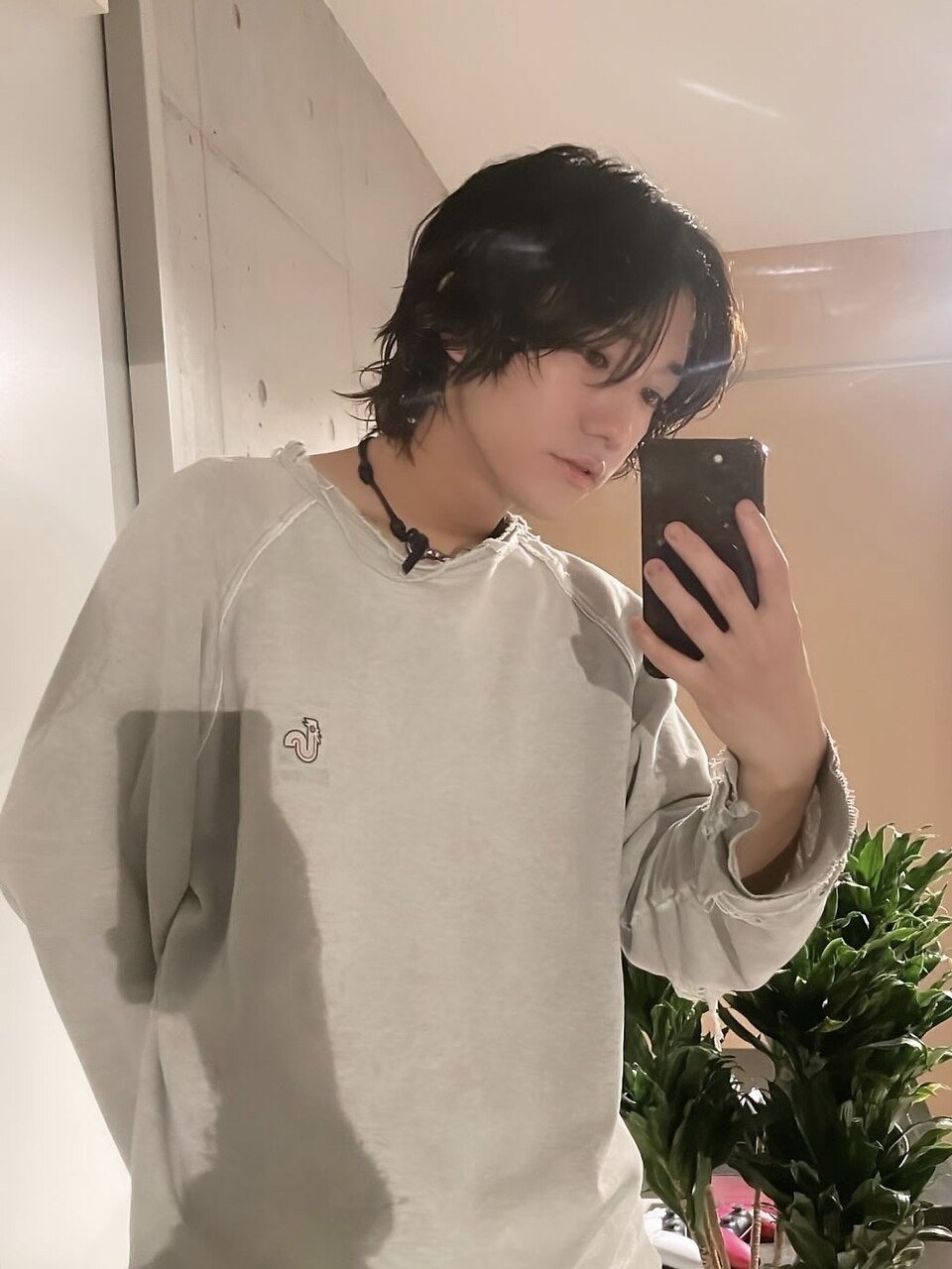 kaito